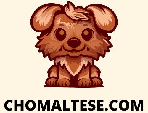 CHOMALTESE.COM